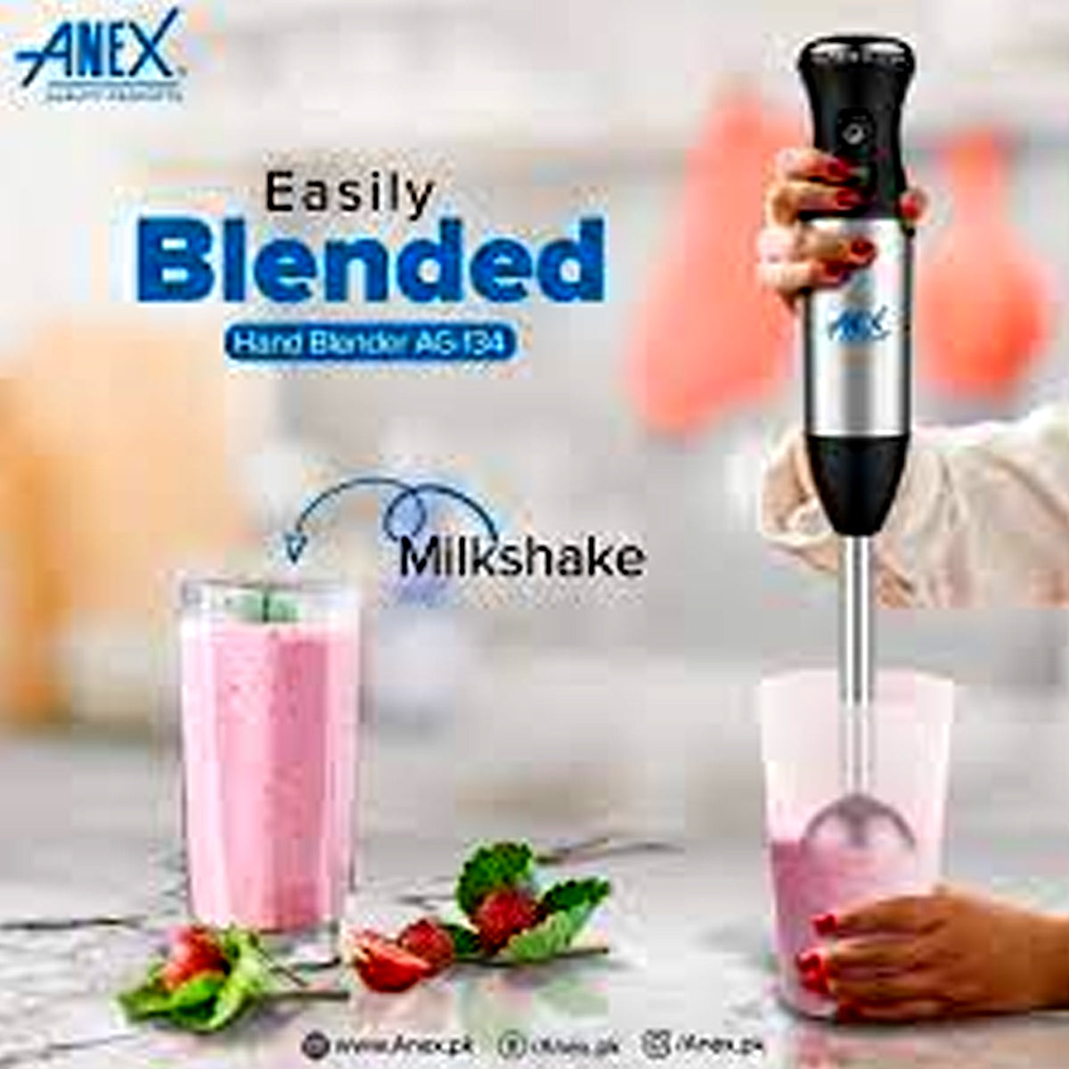 Anex AG-208 DELUXE HAND BLENDER