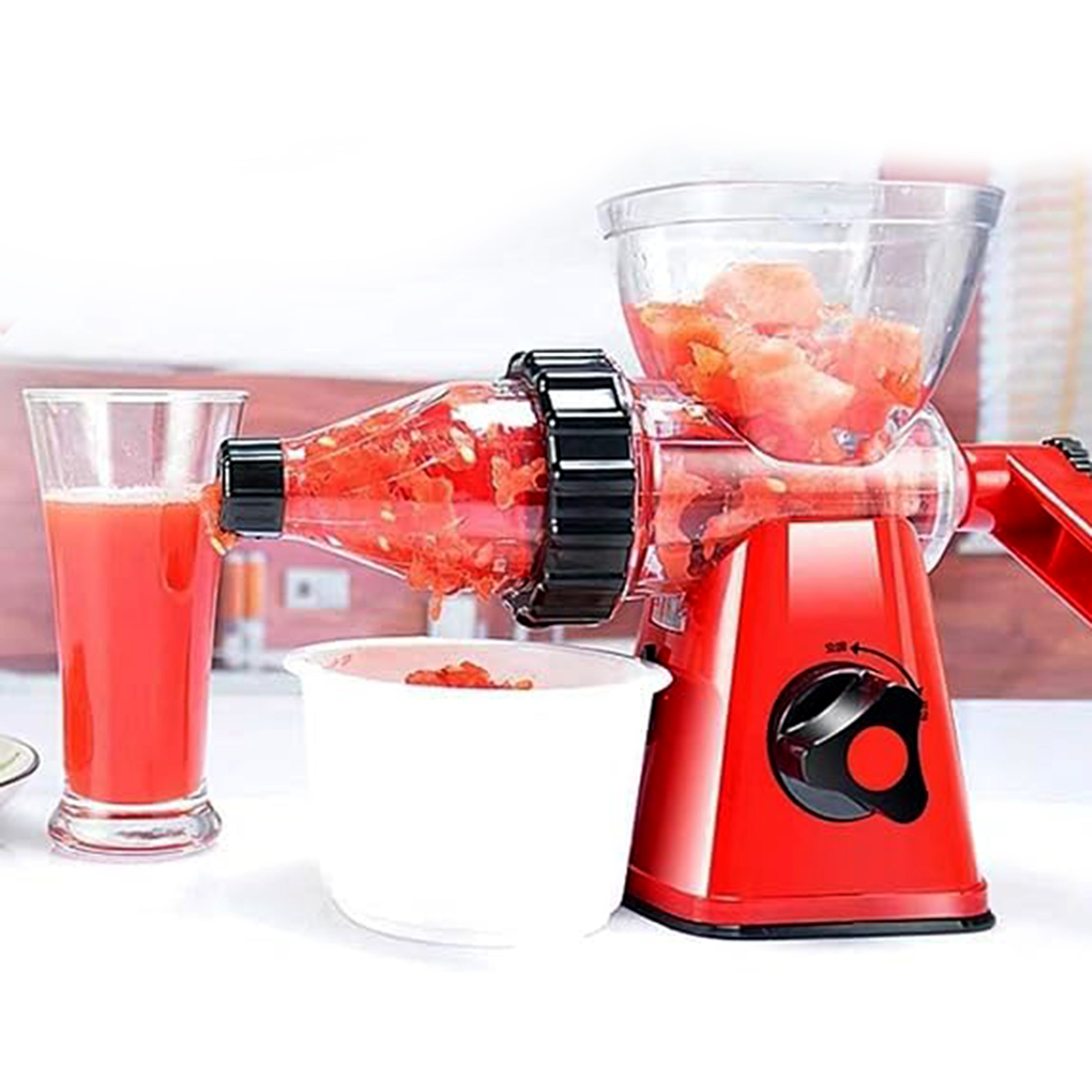 Meileyi Manual Juicer And Ice Cream Machine