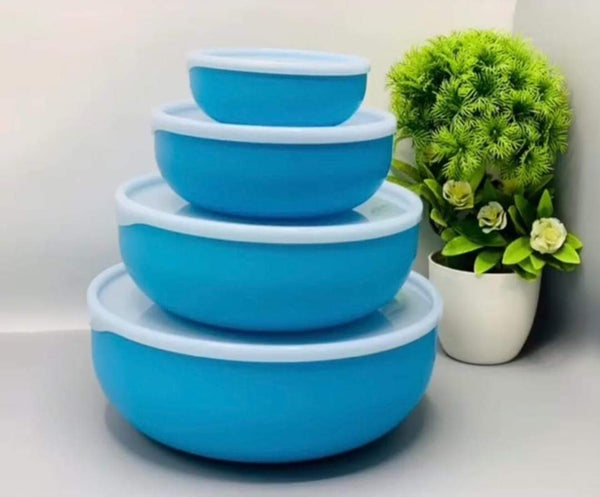 Plash Bowl Set of 4 / Splash Bowl Set 4 in1 With Lid