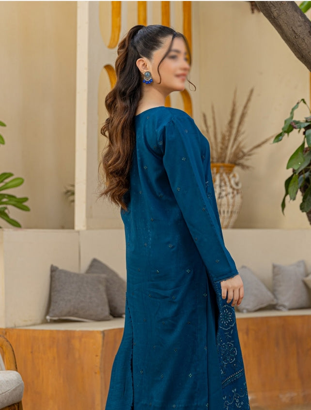 Dhanak Embroidered With Fancy Velvet-Woolen Shawl- Moment By Fantak